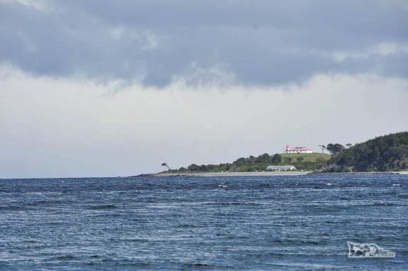 San isidro, o último farol do continente, região de Punta Arenas, sul do Chile